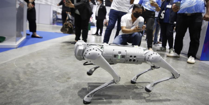 Así funciona Tefi, el perro robot para invidentes que busca