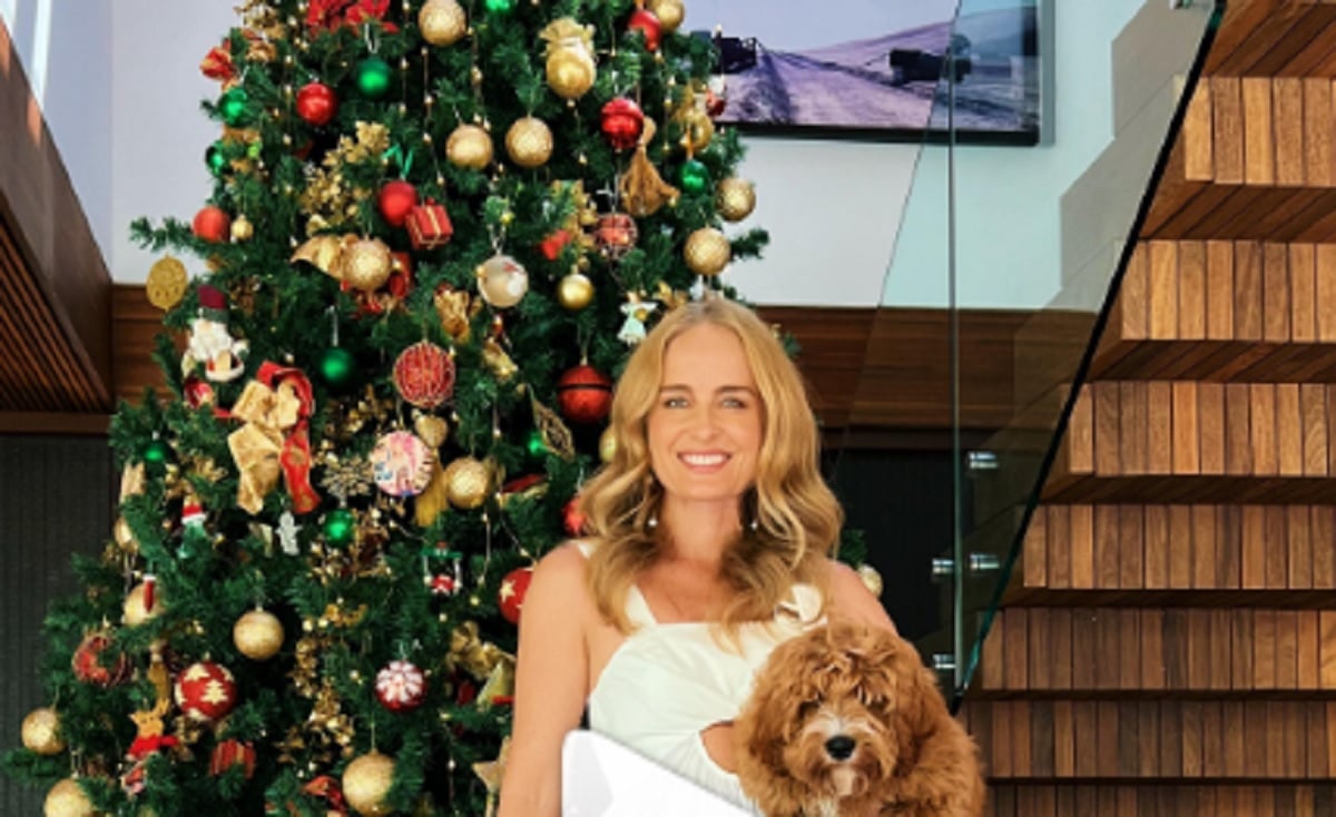 Decoração de luxo: Ana Hickmann monta 6 árvores de Natal em sua mansão –  Metro World News Brasil