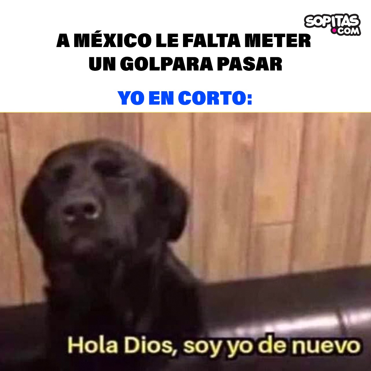 Selección mexicana, Los memes tras la eliminación en Qatar 2022