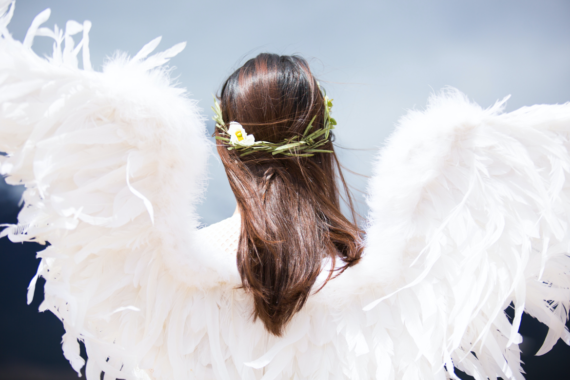 Qué significa encontrar una pluma blanca de ave en tu casa?