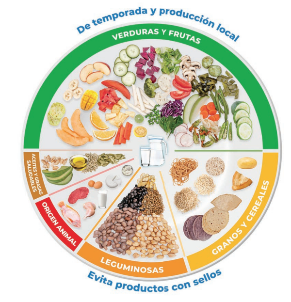 El Plato Del Buen Comer Gusto Sano Off