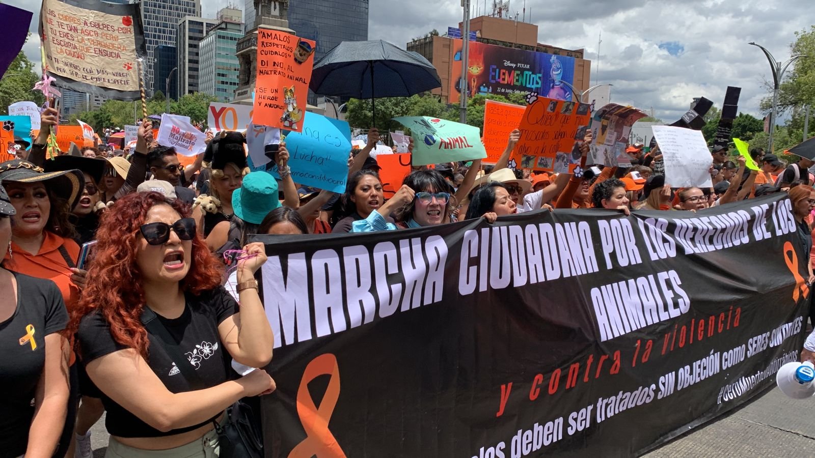 Marcha contra el maltrato animal en CDMX – Publimetro México
