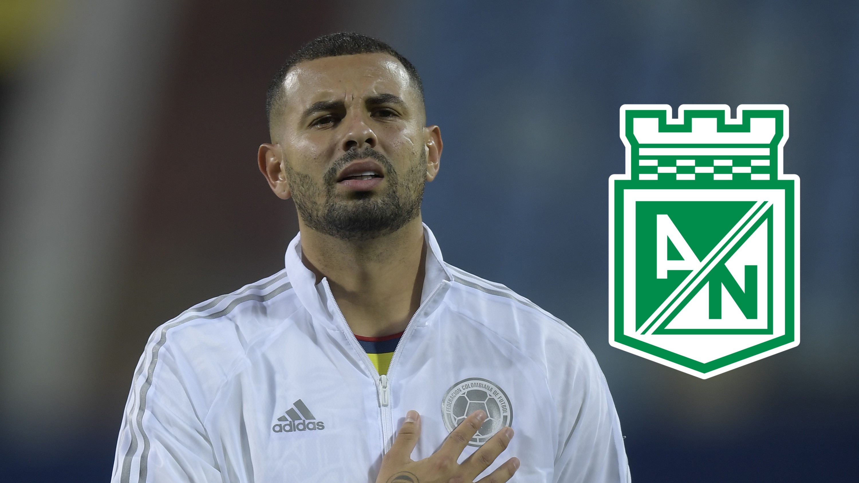 adidas chino moreno bogota