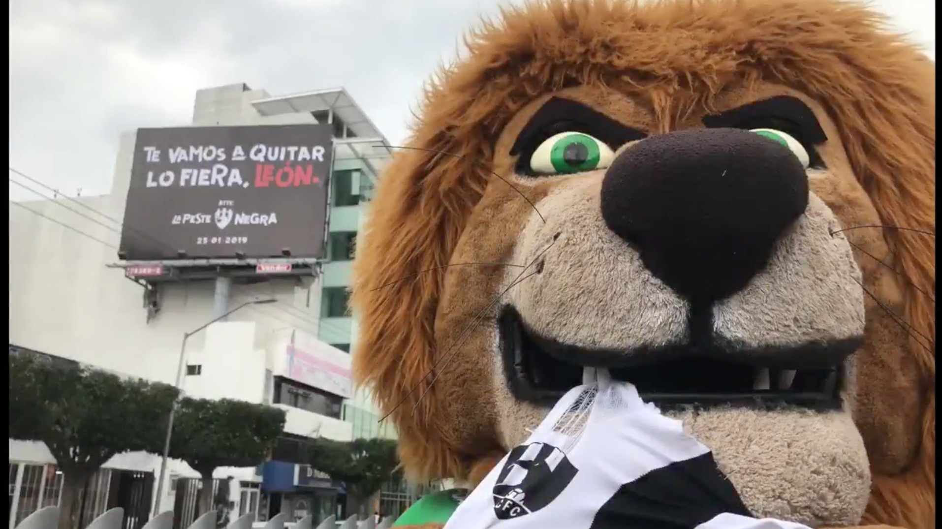 Pachuca y León responden a las 'burlas' de Club de Cuervos – Publimetro  México