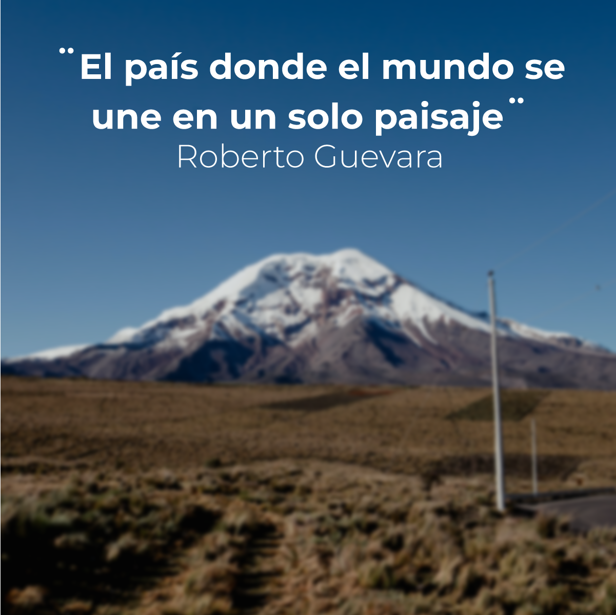 Las 5 mejores frases que describen a Ecuador, sin decir que es Ecuador –  Metro Ecuador