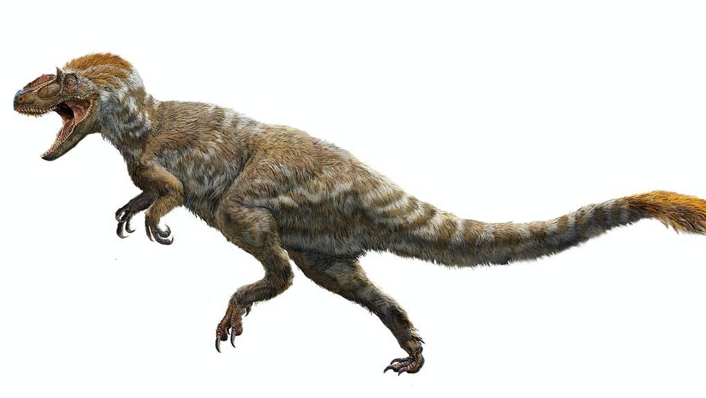 Dinosaurios: algunos hasta tenían plumas, estos son los 7 dinosaurios más  extraños que existieron