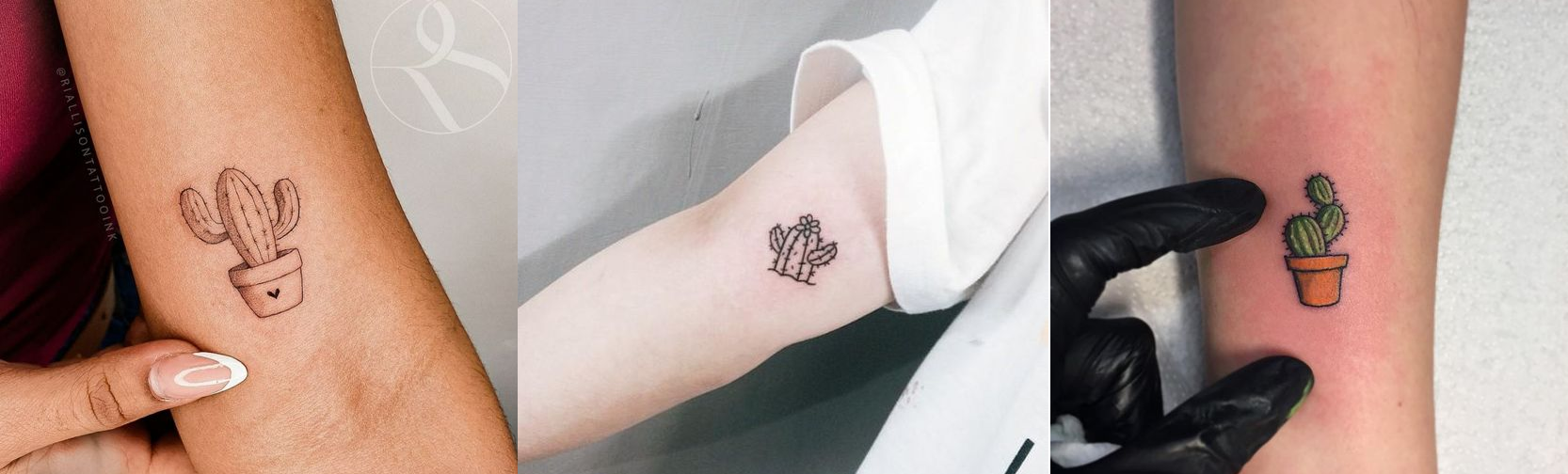 Cactus Tattoo - linha fina  Tatuagem suculenta, Tatuagem de