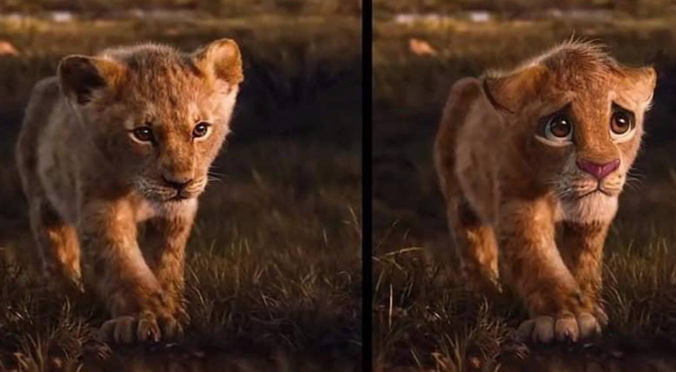 El Ciclo Sin Fin Rey Leon Letra Qué dice la letra de la canción "El Ciclo Sin Fin" de "El Rey León"?