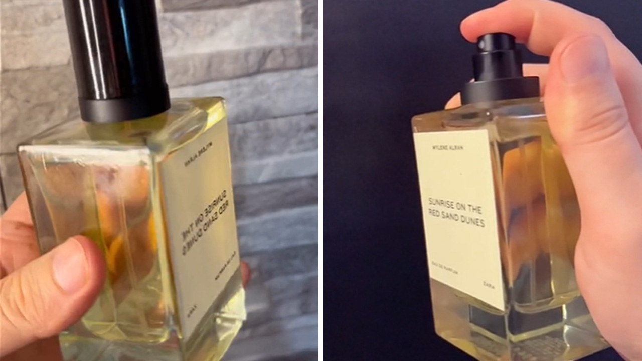 El perfume de Zara que es un dupe de uno de Louis Vuitton y que se  convirtió en favorito de los expertos – Publimetro Perú