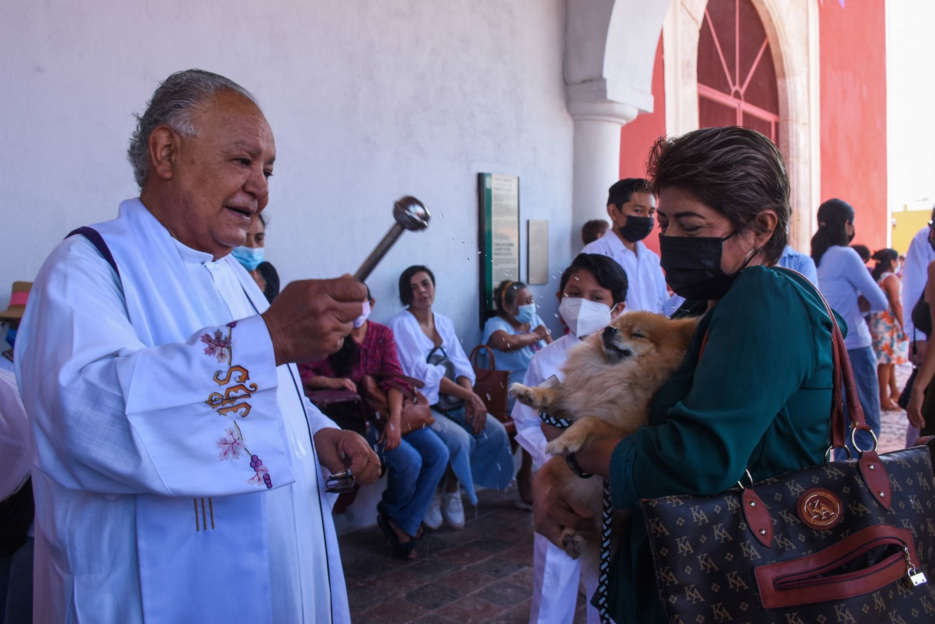 Día de San Francisco de Asís: por qué la gente lleva a su mascota a bendecir