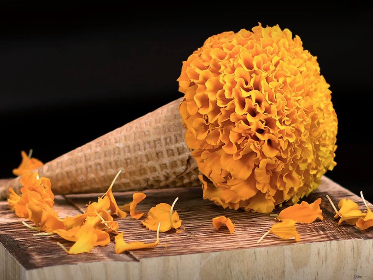 Helados de cempasúchil y pan de muerto ¡Te decimos dónde!