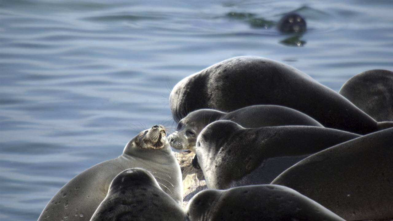 El cristalino lago Baikal [Maravillas Naturales] - VeoVerde