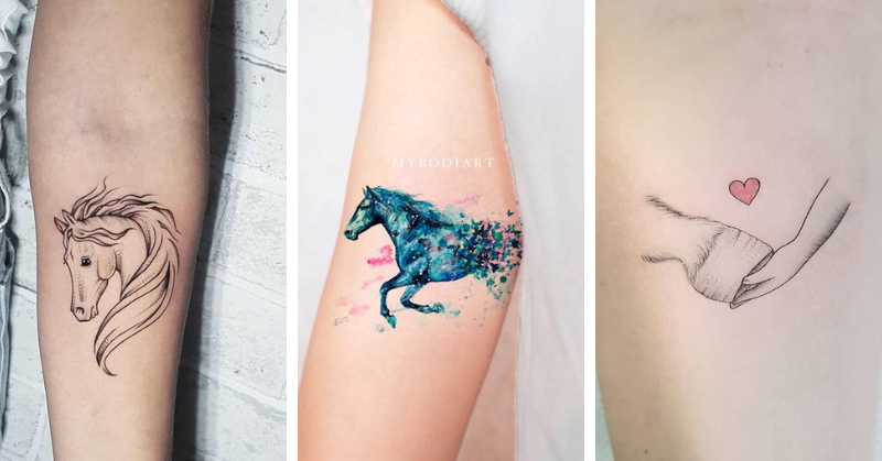 Tatuagem feminina de cavalo: modelos delicados com um FORTE significado –  Nova Mulher