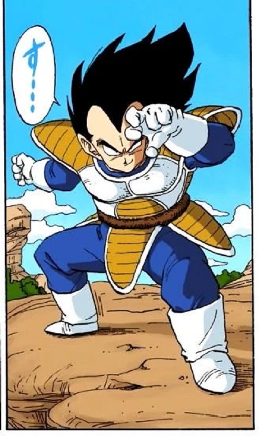Dragon Ball Super: Estos son los tipos de artes marciales que practican Goku  y Vegeta – FayerWayer