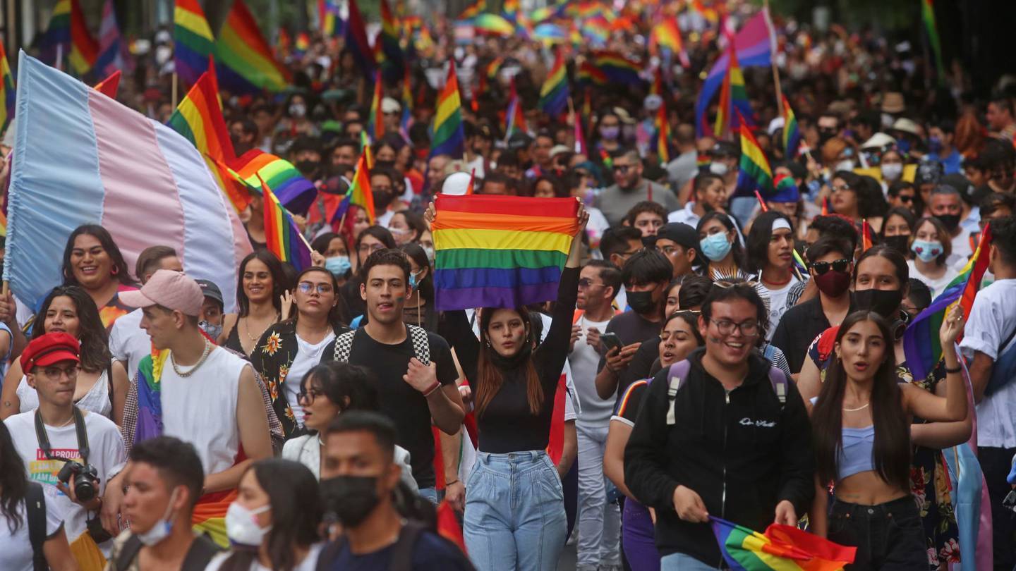 Símbolo de Therian LGBTQIA Muchas banderas del Orgullo -  México