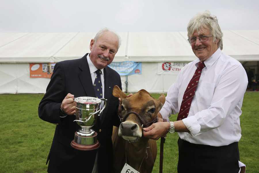 Derrick Frigot (left) co-owner of Day Dream 315 (champion heifer at RJAHS Autumn Cattle Show 2015) with St Peter dairy farmer John Le Feuvre with Frank Forskitt