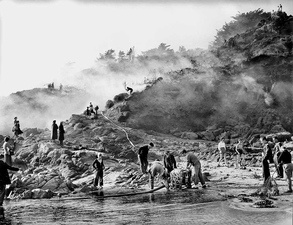 Scenes from the same furze fire at Ouaisné in April 1955