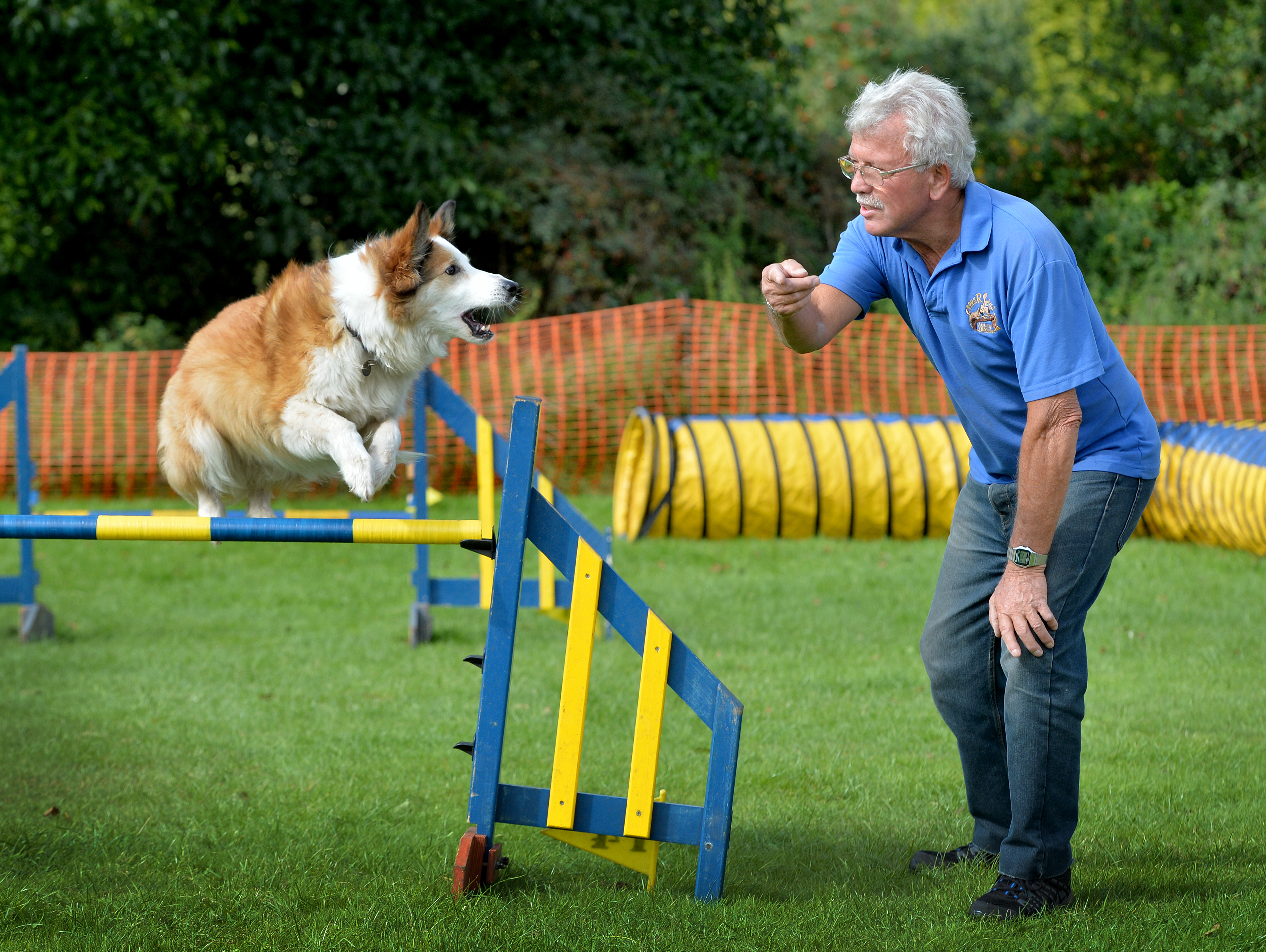 is there prize money in dog agility