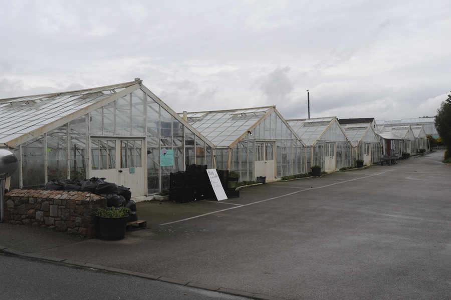 La Mare Carnation Nursery glasshouses, Grouville
