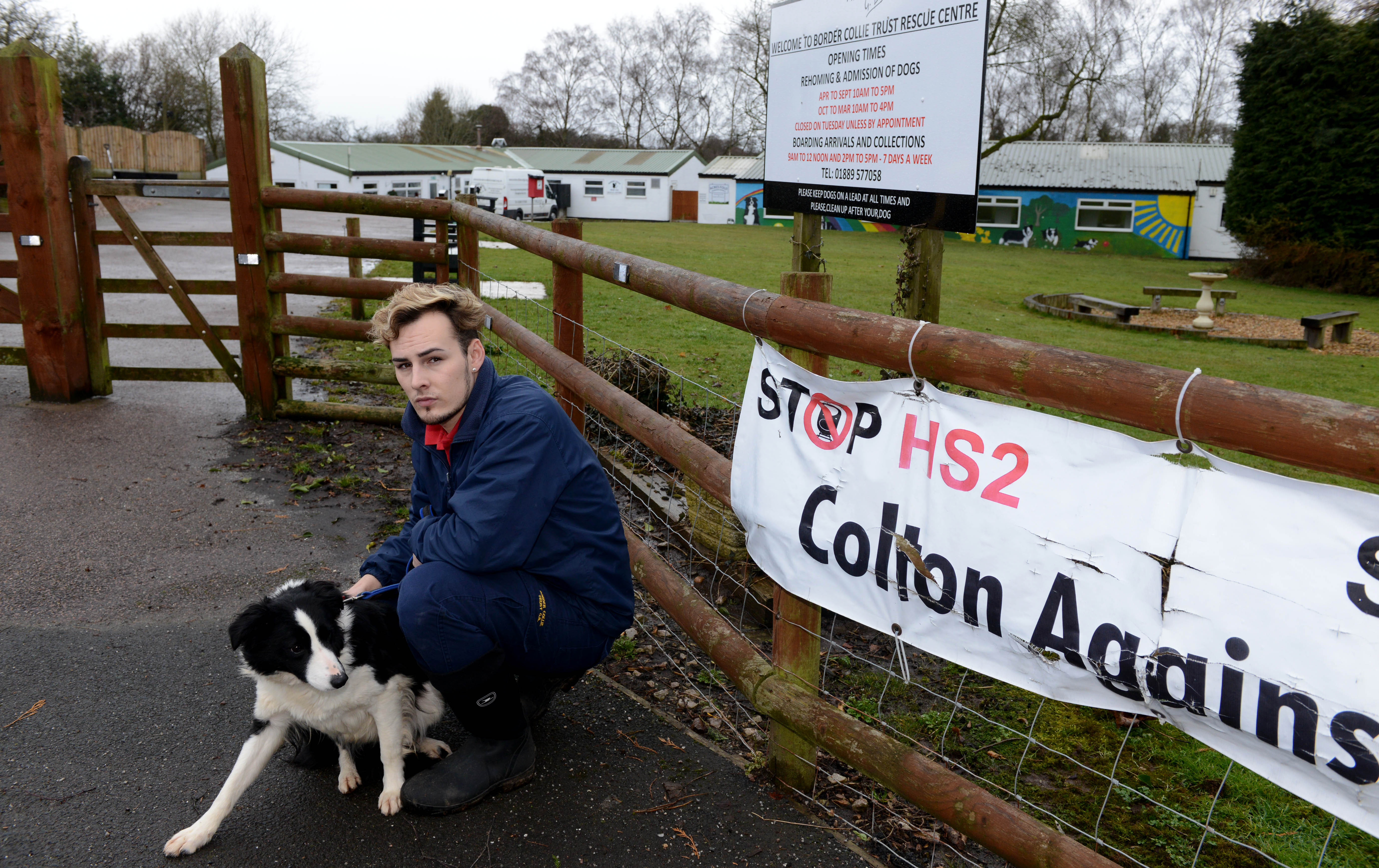 border collie trust rugeley