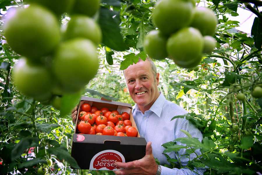 Peter Le Cuirot with a box of Jersey tomatoes