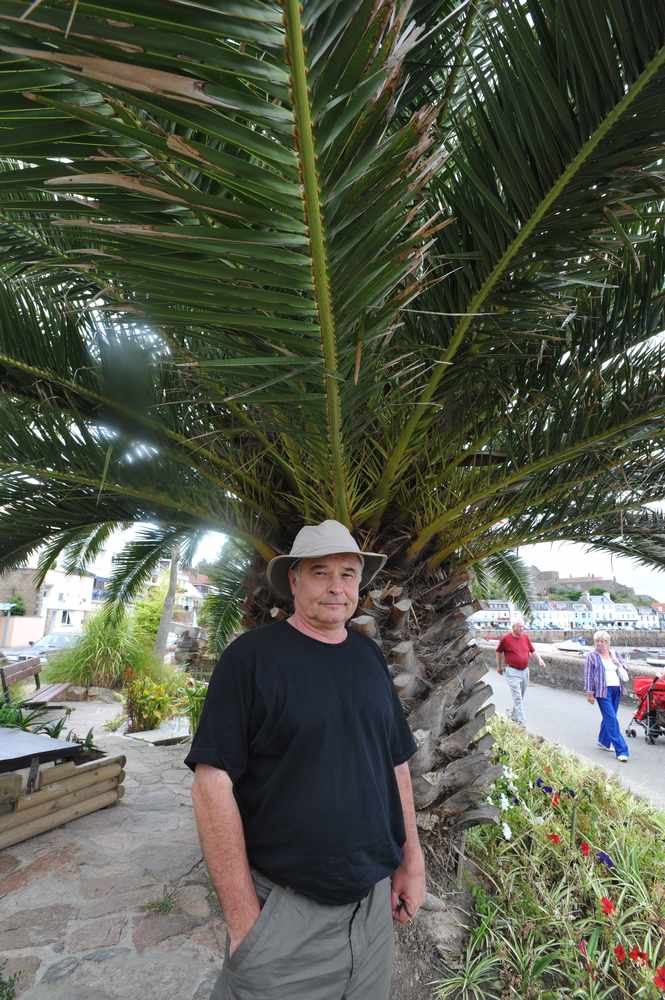 Bruce Labey, founder of the Jersey Botanic Garden Trust, stands next to a palm tree in Gorey