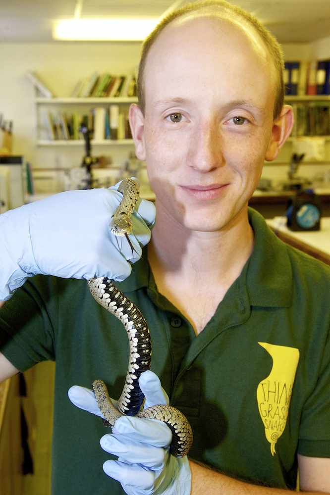 Doctoral student Rob Ward, from the University of Kent, with an injured grass snake