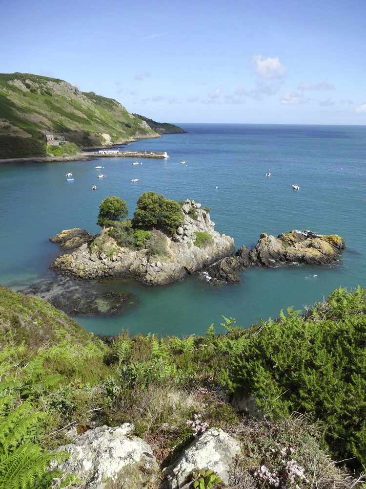 During the past few weeks several swimmers have been stung in Bouley Bay Picture: Clare Chessun