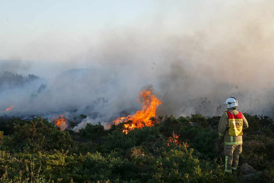 Photographer Richard Wainwright captured firefighters tackling this blaze at La Moye in 2006. Teams worked through the night on 18 July to bring the flames under control, which were burning on a patch of land of roughly 600 metres by 500 metres. Following a few hours' work after the alarm was raised at 6 pm it appeared that the flames had been extinguished, but the blaze took hold again at around 10 pm. Later in the same month firefighters were called to another fire in the La Moye area that was believed to have been started deliberately.