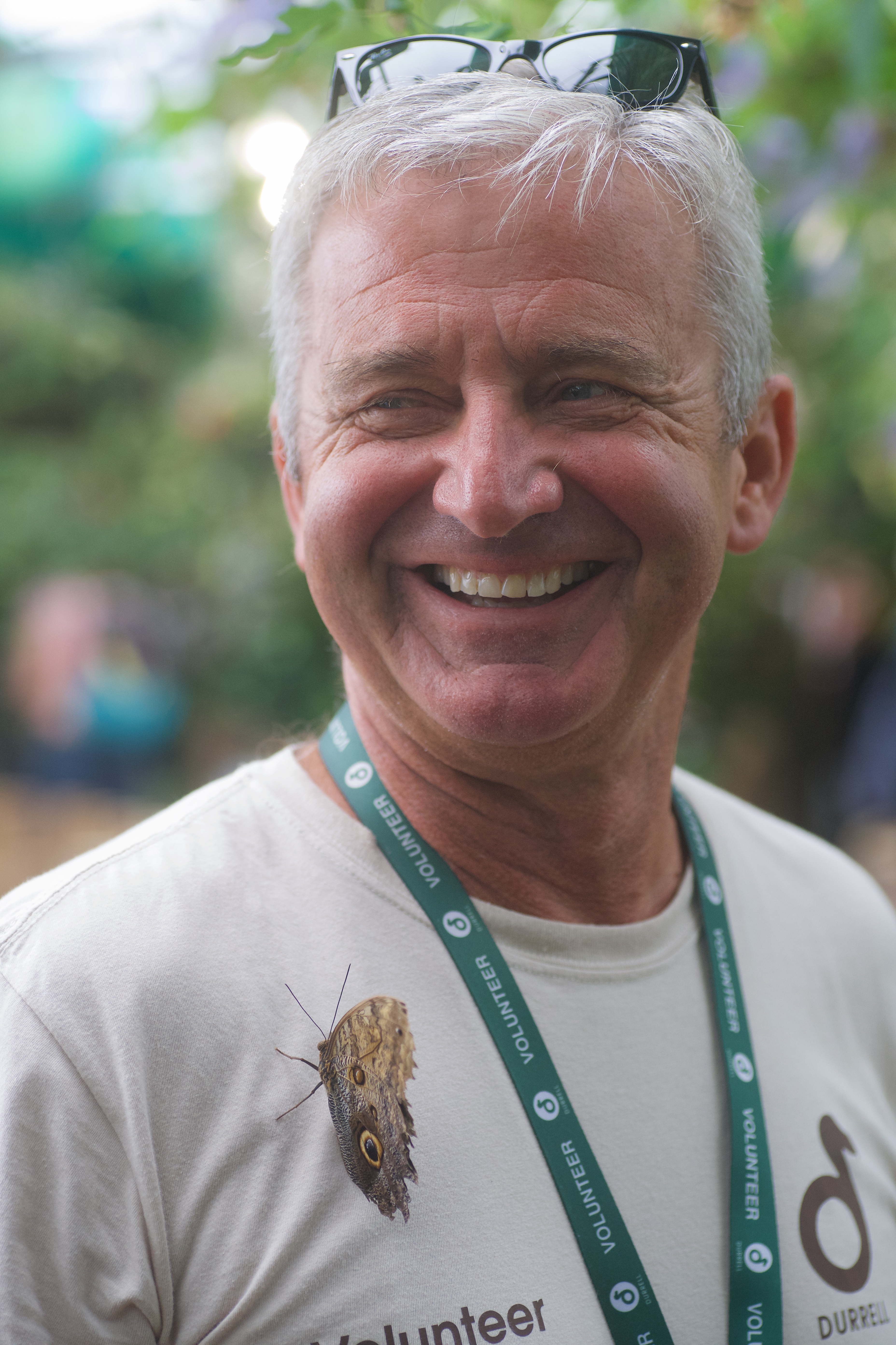 Volunteering at Jersey Zoo. Butterfly enclosure. Volunteer Mike Bowron with a Forest Owl butterfly on his chest. Picture: JON GUEGAN. (25412019)