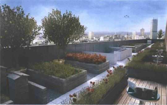 An artist's impression of the roof gardens