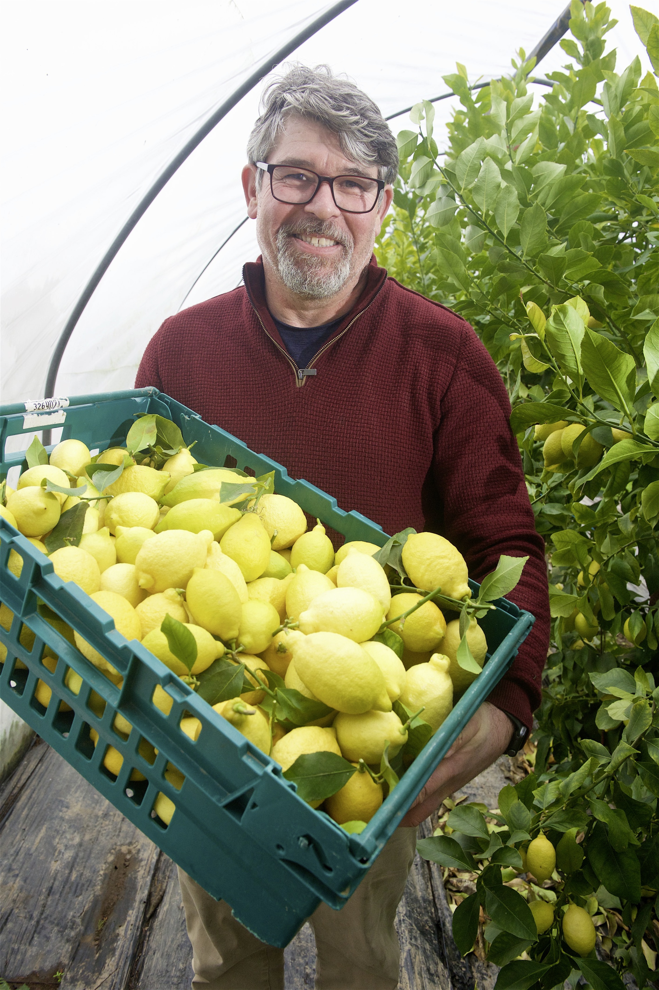 Joe Freire with some of the lemons he is growing                                                            Picture: ROB CURRIE. (27045553)