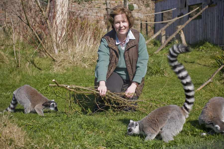 Lee Durrell with ring-tailed lemurs