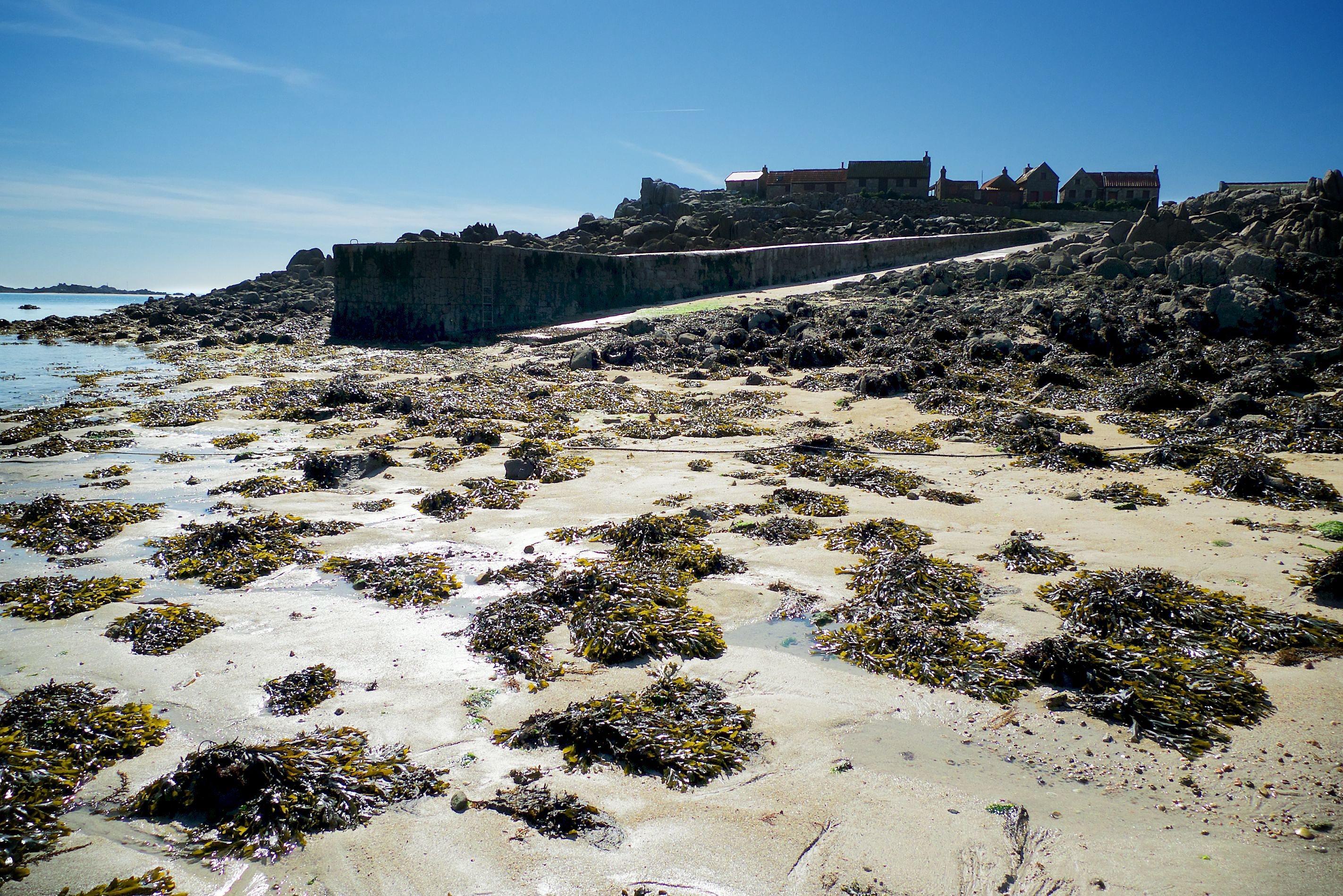 Les Minquiers in Grouville, the most southerly area of the British Isles Picture: MATTHEW HOTTON.REF:01189085.jpg. (29098161)