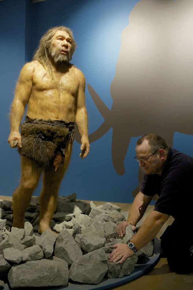 Site guardian Mick Le Pavoux putting the finishing touches to the Ice Age exhibition at the Jersey Museum when it first opened 18 months ago