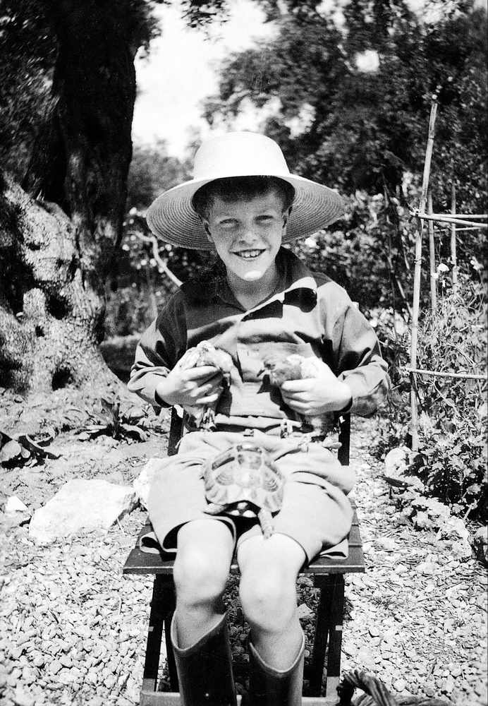 Gerald Durrell as a boy. Picture: Estate of Gerald Durrell