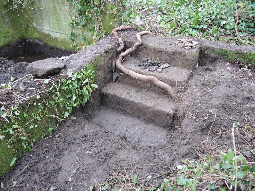A set of stairs have been uncovered at Lager Wick