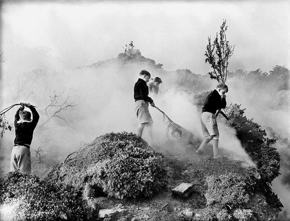 Water is pumped from the sea to help control a furze fire that hit headland at Ouaisné in April 1955. Members of the public can be seen trying to beat the flames down