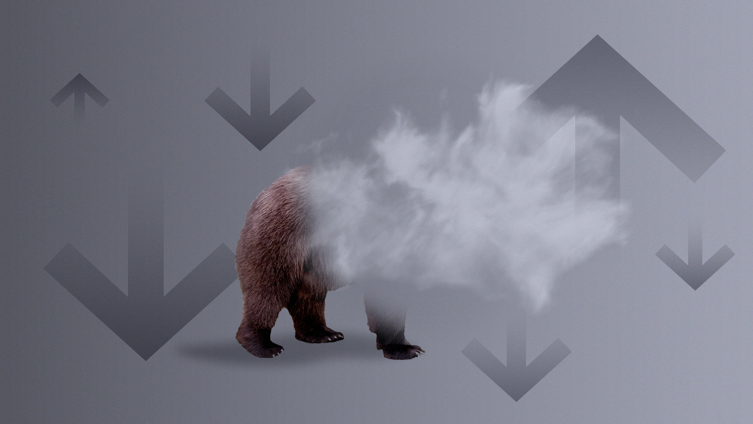 Photo collage illustration featuring a bear entering a fog cloud with arrows pointing up and down in the background.
