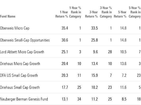 This table shows the long-term returns and category ranks for the top performing small growth funds.