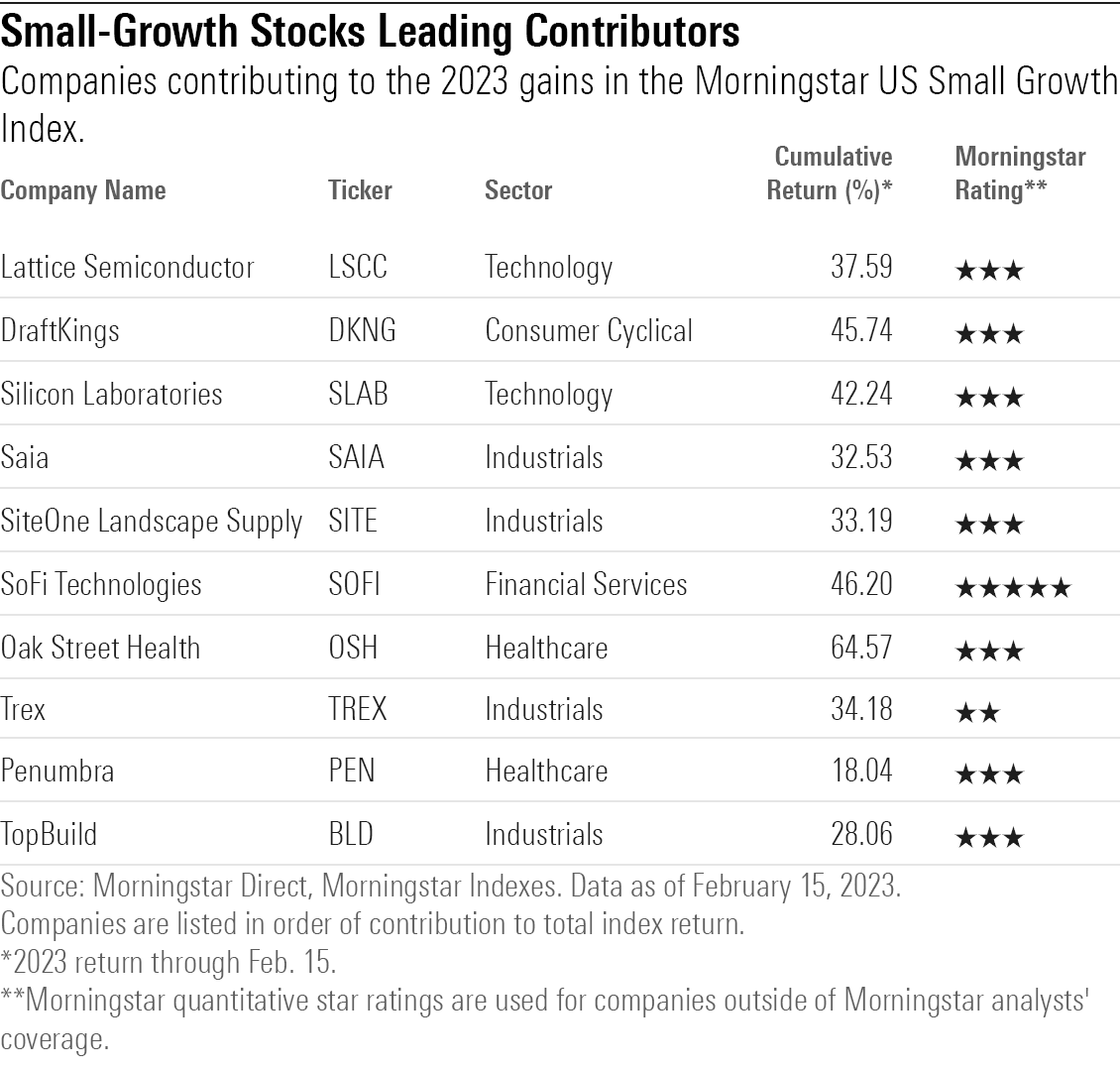 list of top performing stocks in the Morningstar US Small Growth Index.