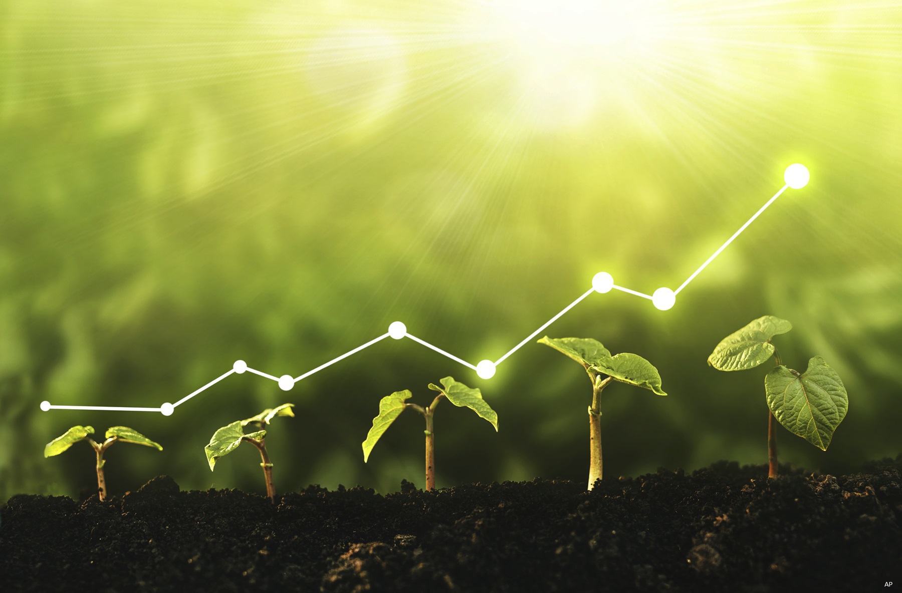 Growing trees investing illustration