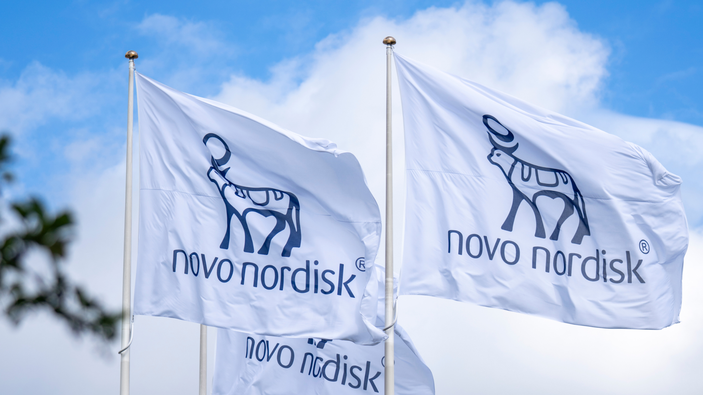 The Novo Nordisk logo seen on waving flags.