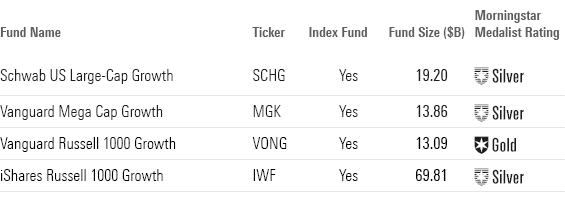 This tables shows the top performing Large-Growth ETFs along with their fund size and Morningstar Medalist Rating.