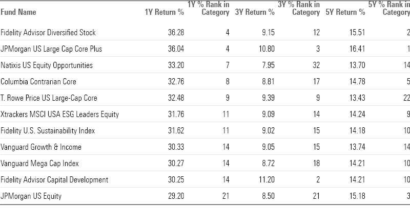 Table of long-term returns for best-performing large blend funds.