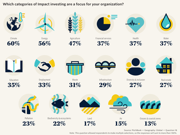 Which categories of Impact Investing are a focus for your organization?