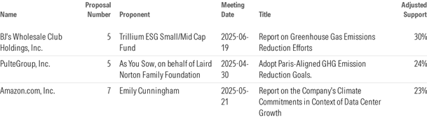 ESG Voting Policy Overlay