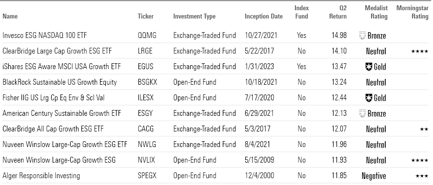 Best-performing large-cap sustainable funds in Q2