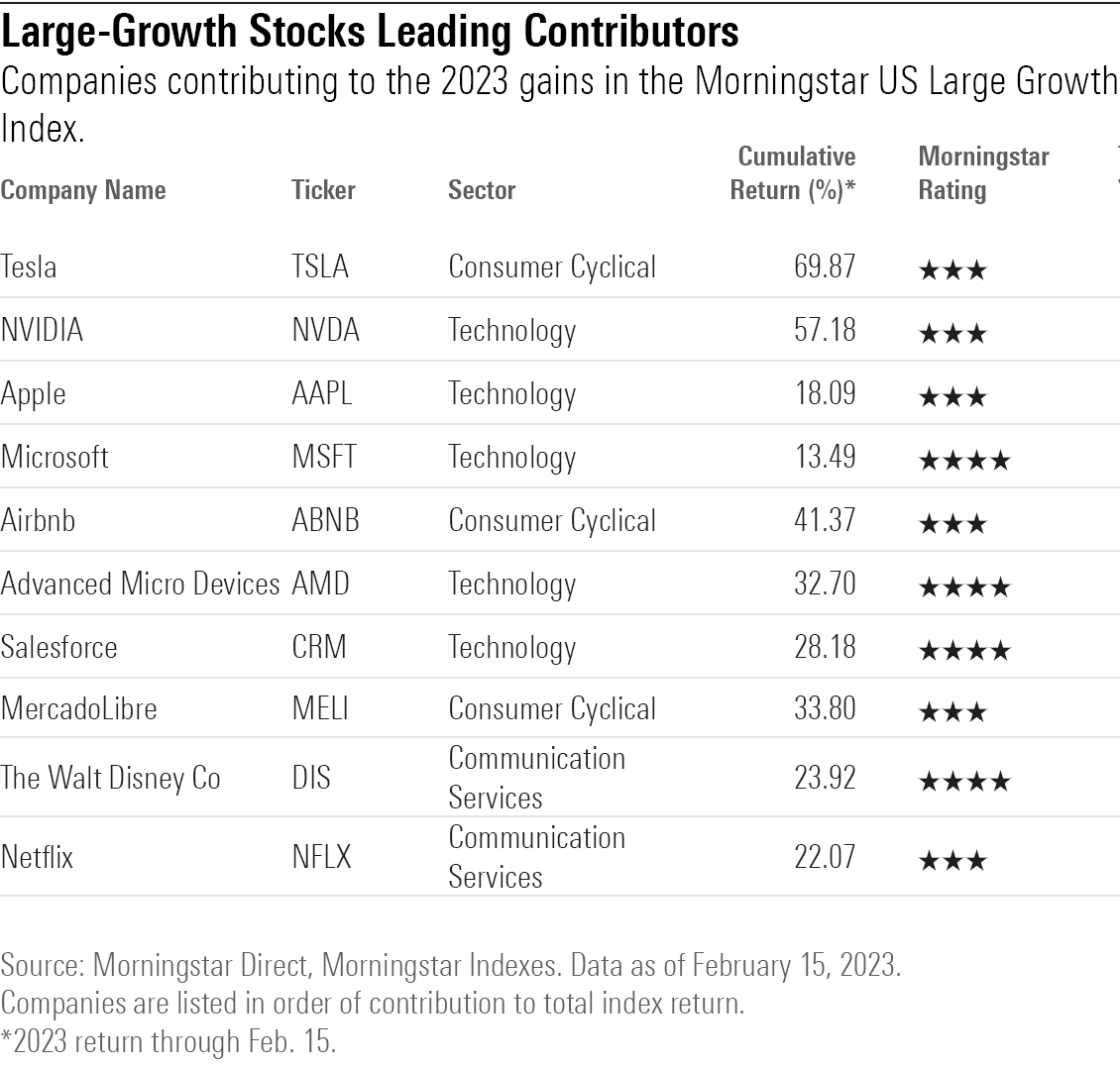 list of top contributing stocks in the Morningstar US Large Growth Index.