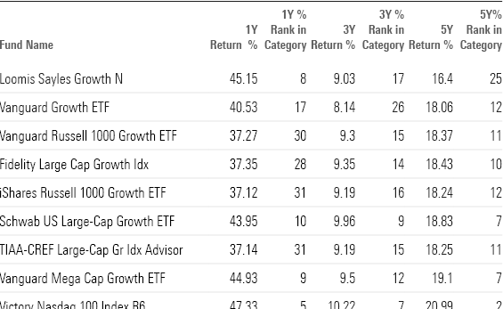 List of long-term returns for top-performing Large Growth funds.